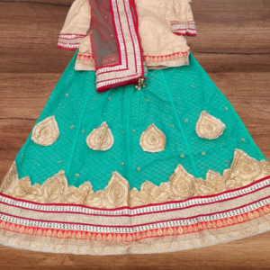 Indian Wedding Lehnga 3pc